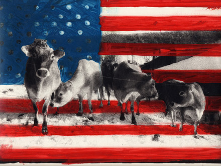American Fair (2007)